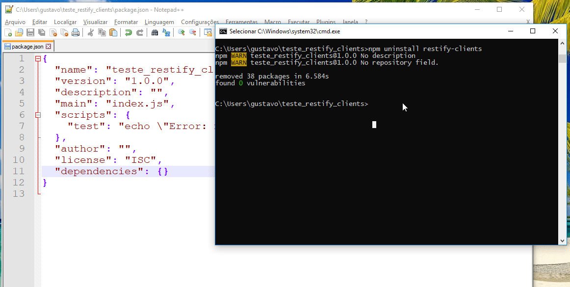 Exemplo de execução do npm install